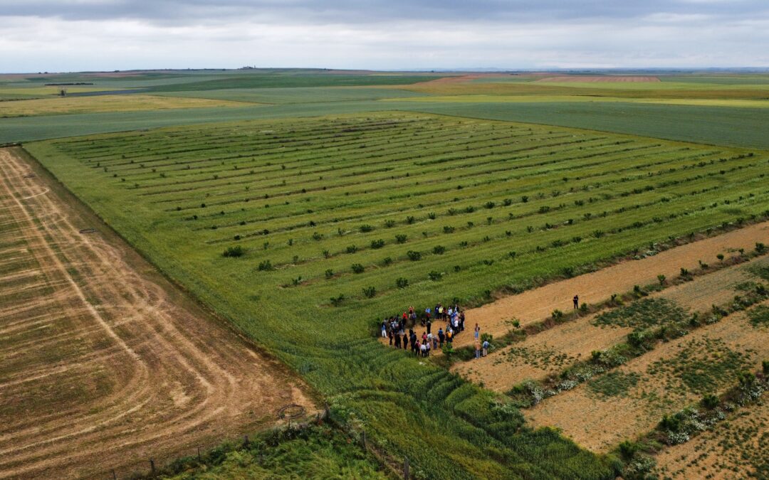 profesionales del proyecto life agroforadapt visitan La Sola Agroecológica
