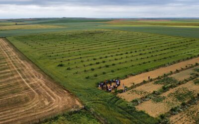 profesionales del proyecto life agroforadapt visitan La Sola Agroecológica